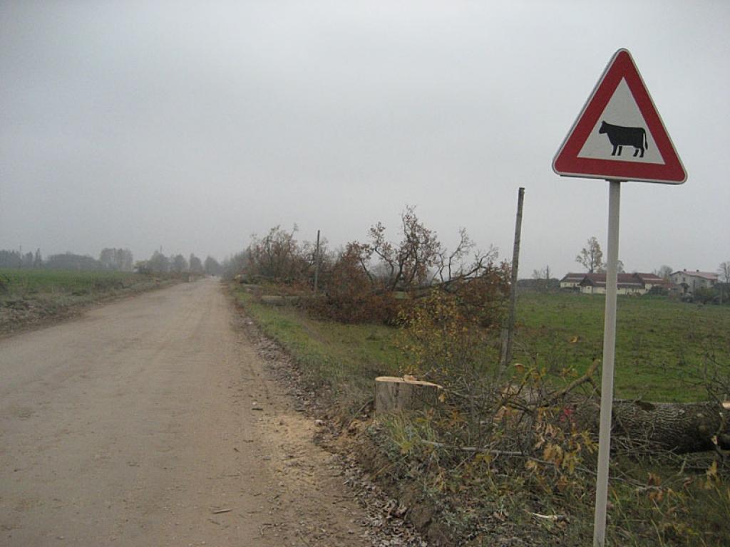 Autors: Diāna Odumiņa