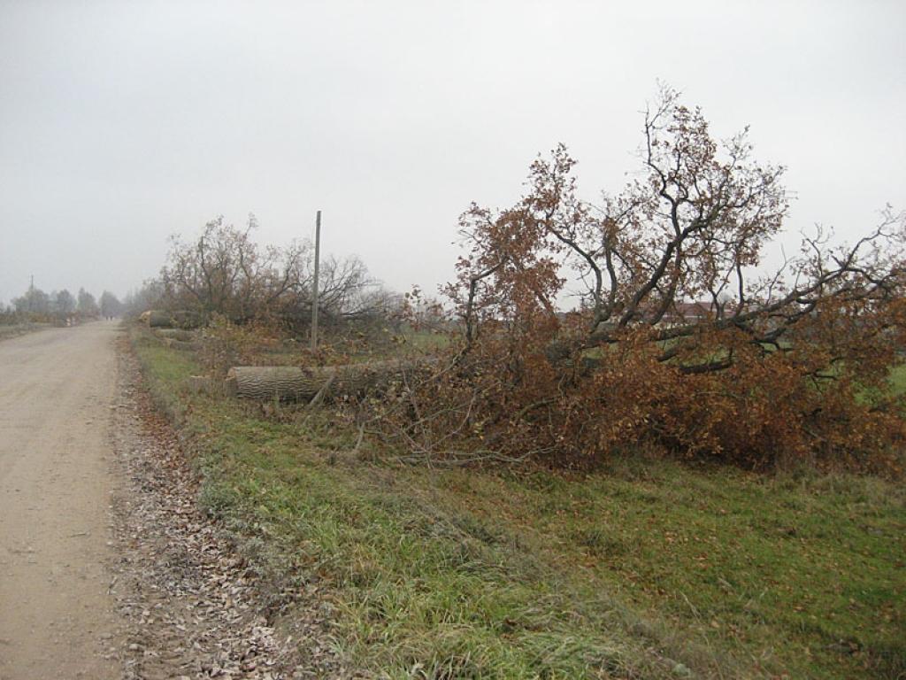 Autors: Diāna Odumiņa