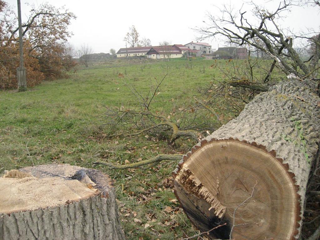 Autors: Diāna Odumiņa