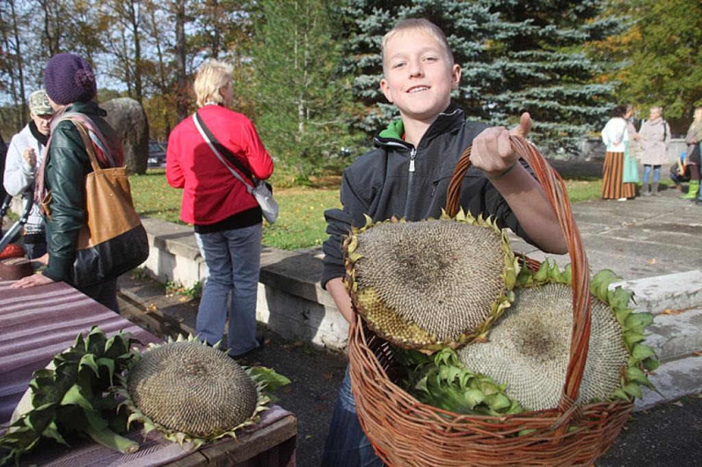 Dzirkstele.lv raksta attēla aizvietotājs
