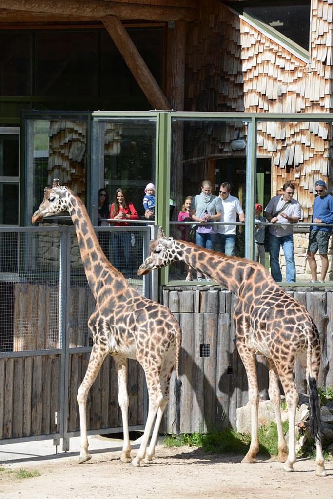 Autors: No Zooloģiskā dārza arhīva
