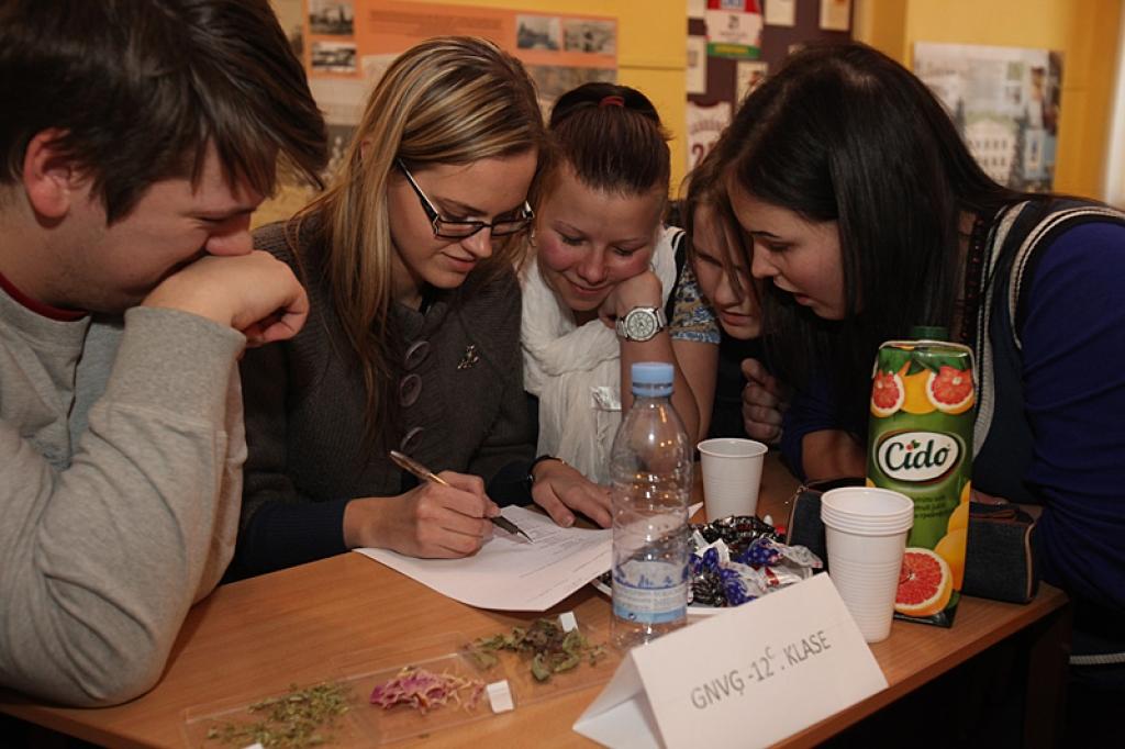 Autors: Gatis Bogdanovs