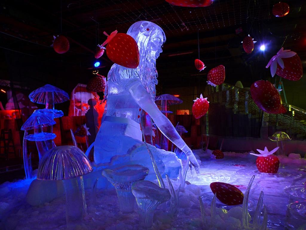 Daudzgadējaiss Jelgavas ledus skulptūru festivāla mākslinieciskais vadītājs, tēlnieks Kārlis Īle, kurš pērn vasarā Novada svētkos Stāmerienā veidoja uguns skulptūras Stāmerienas ezerā, un Agnese Rudzīte-Kirillova Rostokas piepilsētā...