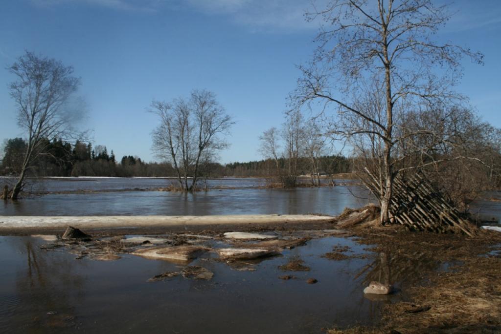 Autors: Gatis Bogdanovs