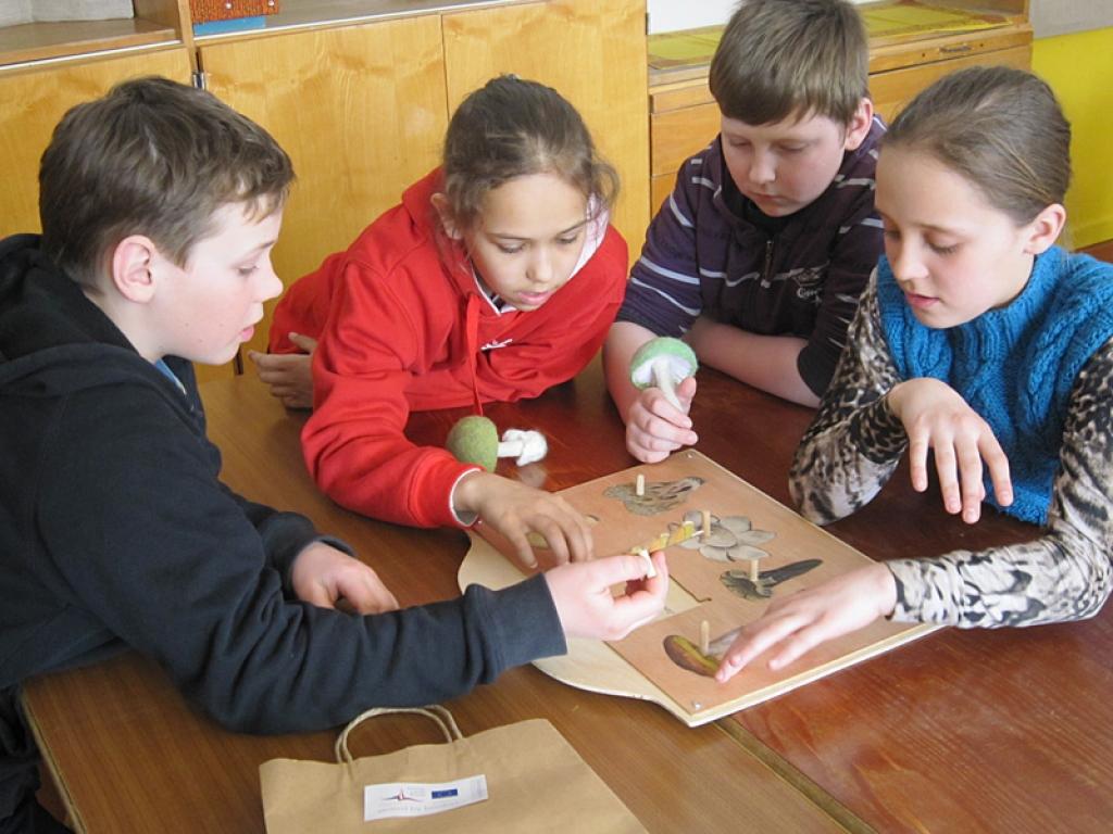 Dabas muzeja atbalsta biedrība (viens no 11 projekta partneriem) projektā „Dabas izglītības sekmēšana - efektīvs līdzeklis sabiedrības dabas apziņas veidošanai” veido mobilo kastu – izzinošo nodarbību aprīkojumu. Mobilajās kastēs ietilpst...