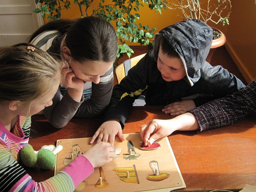 Dabas muzeja atbalsta biedrība (viens no 11 projekta partneriem) projektā „Dabas izglītības sekmēšana - efektīvs līdzeklis sabiedrības dabas apziņas veidošanai” veido mobilo kastu – izzinošo nodarbību aprīkojumu. Mobilajās kastēs ietilpst...