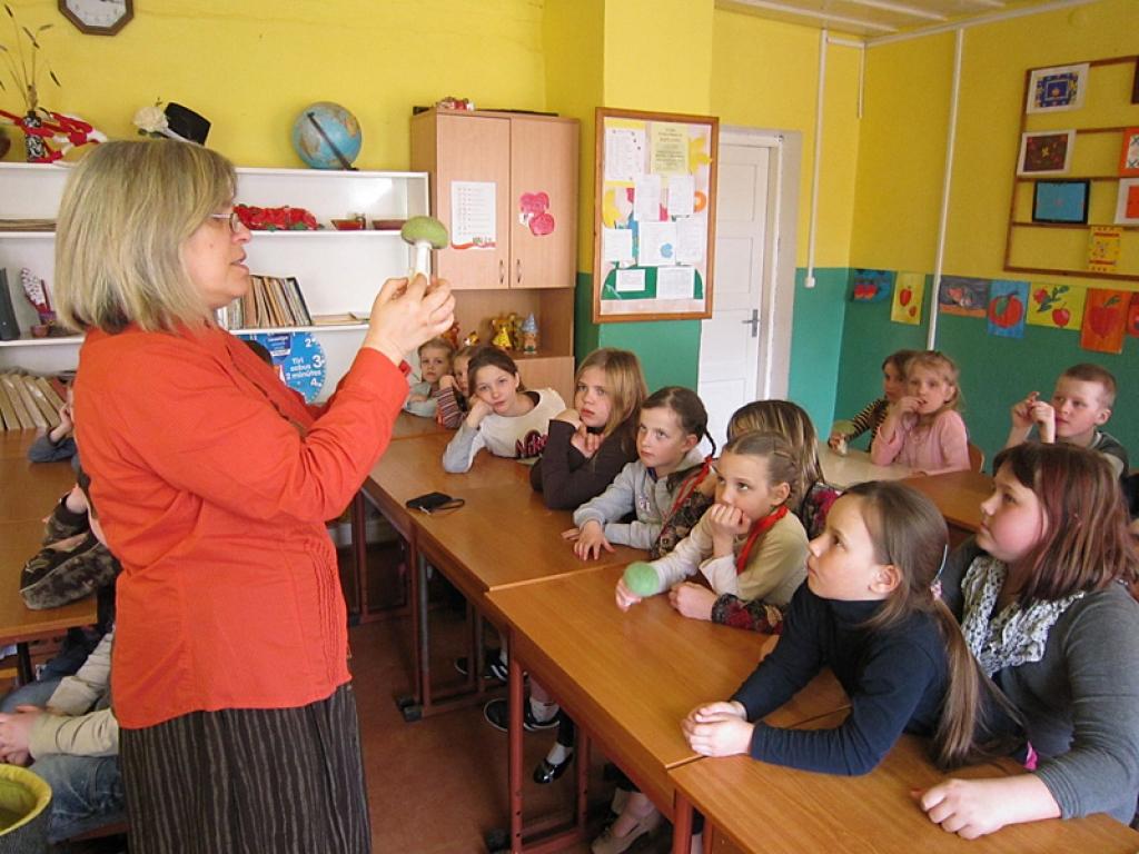 Dabas muzeja atbalsta biedrība (viens no 11 projekta partneriem) projektā „Dabas izglītības sekmēšana - efektīvs līdzeklis sabiedrības dabas apziņas veidošanai” veido mobilo kastu – izzinošo nodarbību aprīkojumu. Mobilajās kastēs ietilpst...