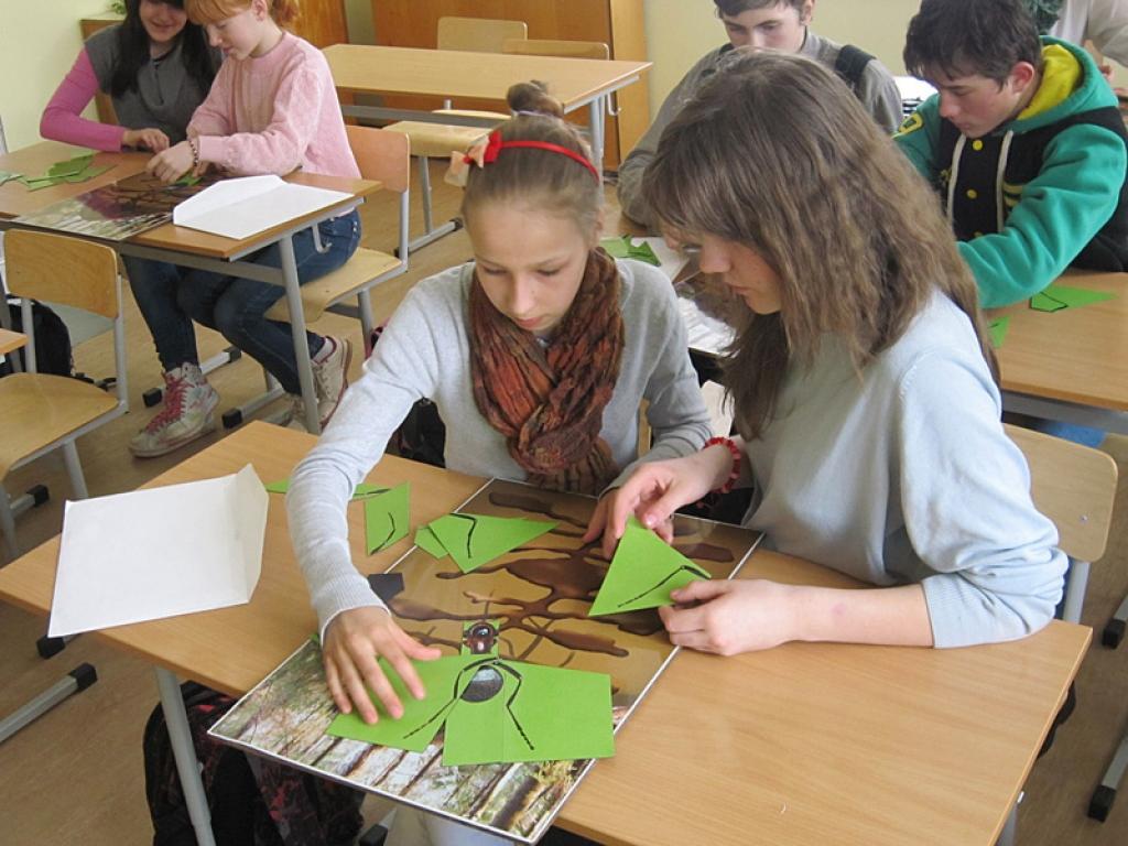 Dabas muzeja atbalsta biedrība (viens no 11 projekta partneriem) projektā „Dabas izglītības sekmēšana - efektīvs līdzeklis sabiedrības dabas apziņas veidošanai” veido mobilo kastu – izzinošo nodarbību aprīkojumu. Mobilajās kastēs ietilpst...