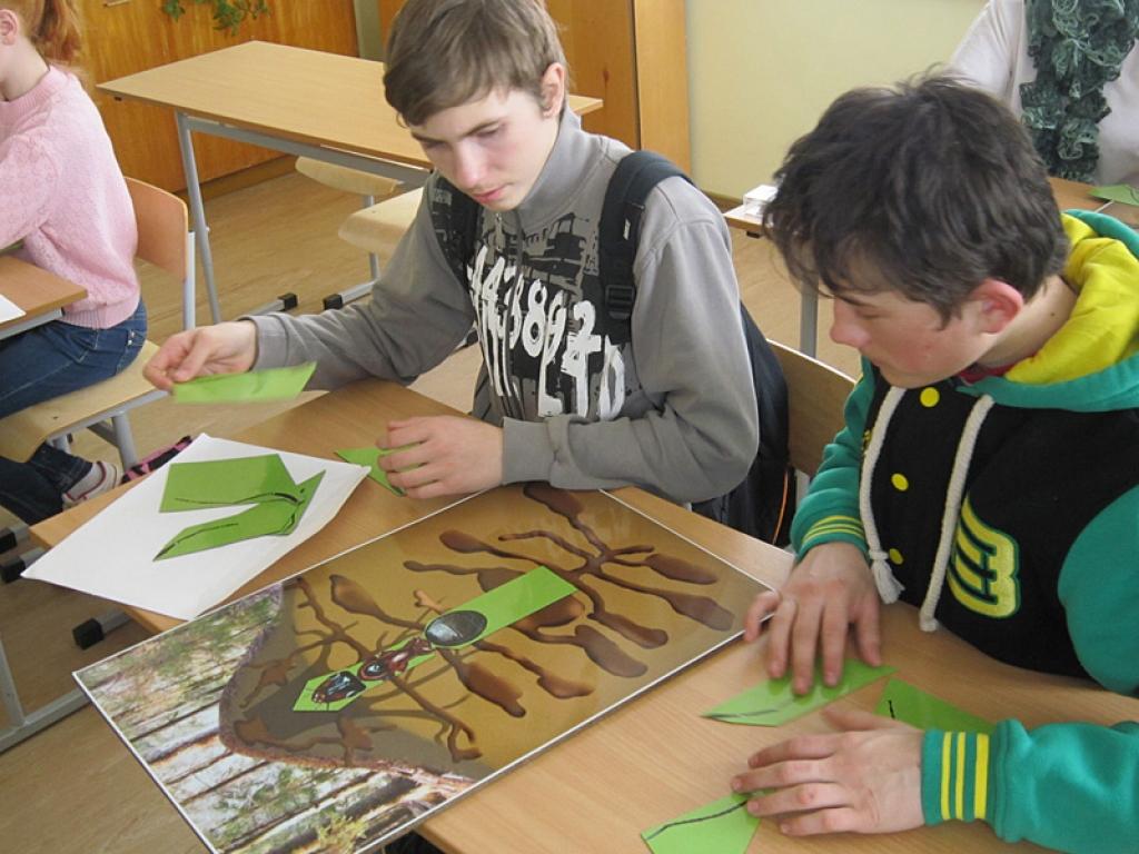 Dabas muzeja atbalsta biedrība (viens no 11 projekta partneriem) projektā „Dabas izglītības sekmēšana - efektīvs līdzeklis sabiedrības dabas apziņas veidošanai” veido mobilo kastu – izzinošo nodarbību aprīkojumu. Mobilajās kastēs ietilpst...