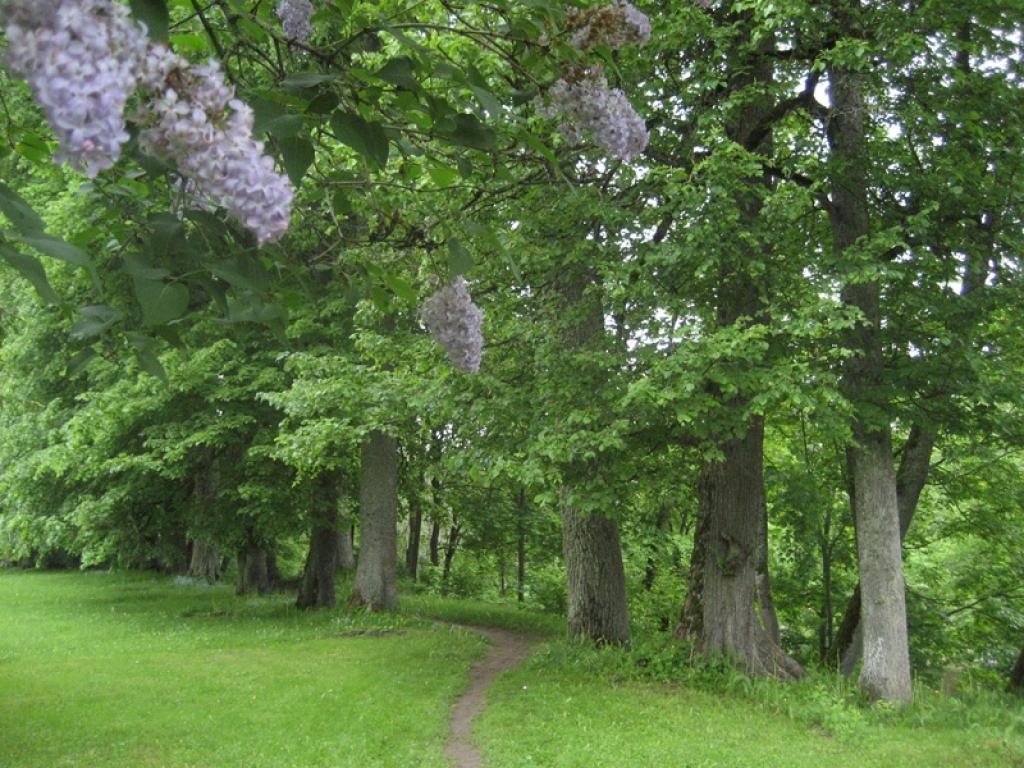 Autors: Diāna Odumiņa