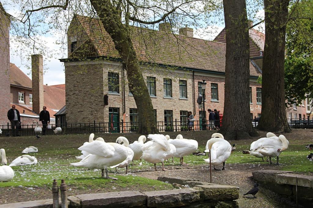 Autors: Gatis Bogdanovs
