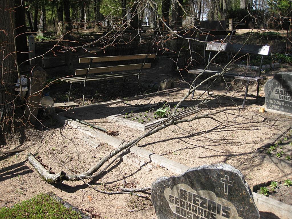 Autors: Diāna Odumiņa