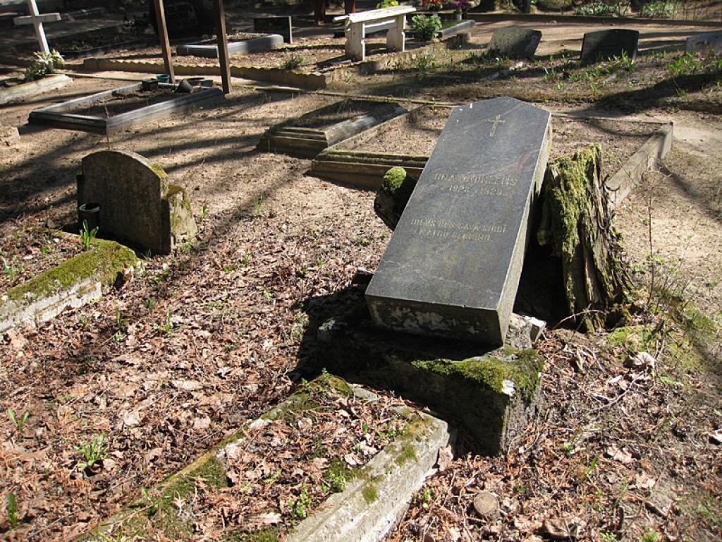 Autors: Diāna Odumiņa