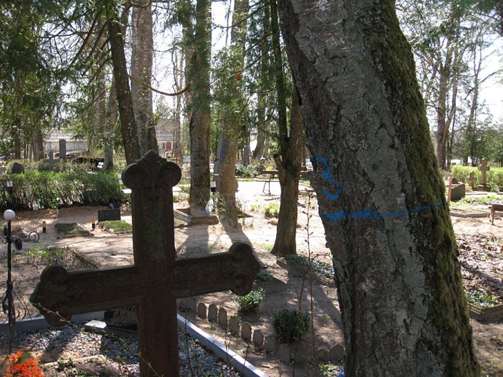 Autors: Diāna Odumiņa