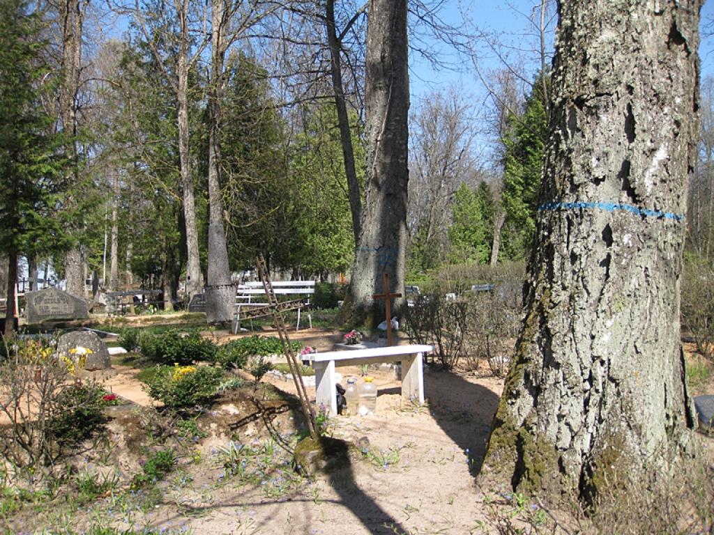 Autors: Diāna Odumiņa