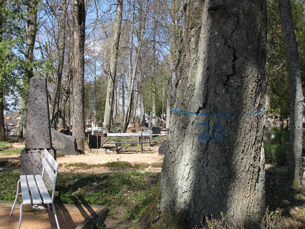 Autors: Diāna Odumiņa