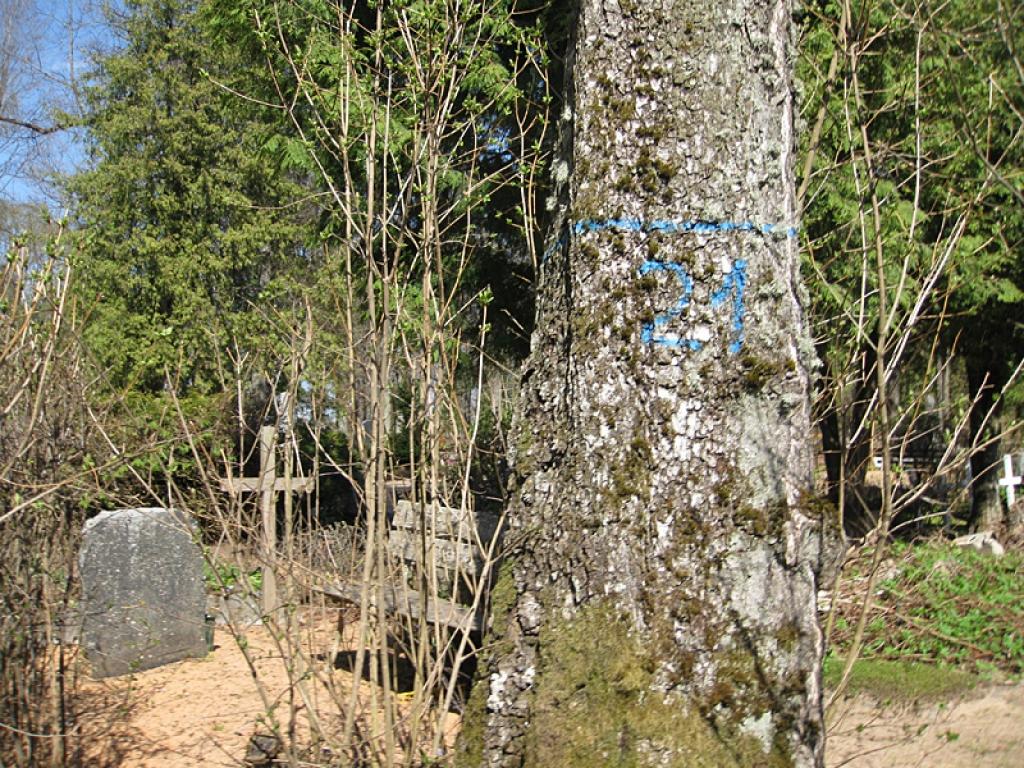 Autors: Diāna Odumiņa