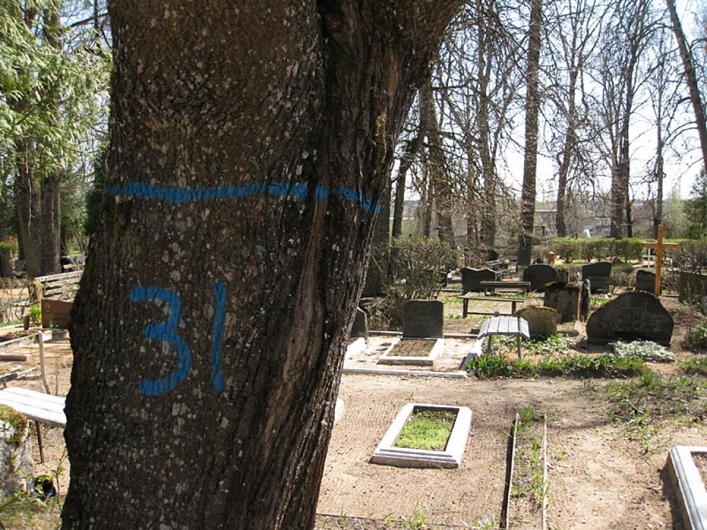 Autors: Diāna Odumiņa