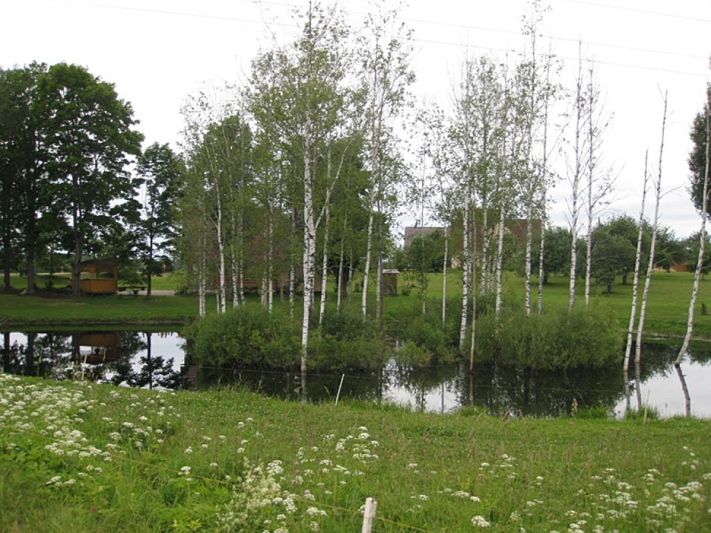 Autors: Diāna Odumiņa