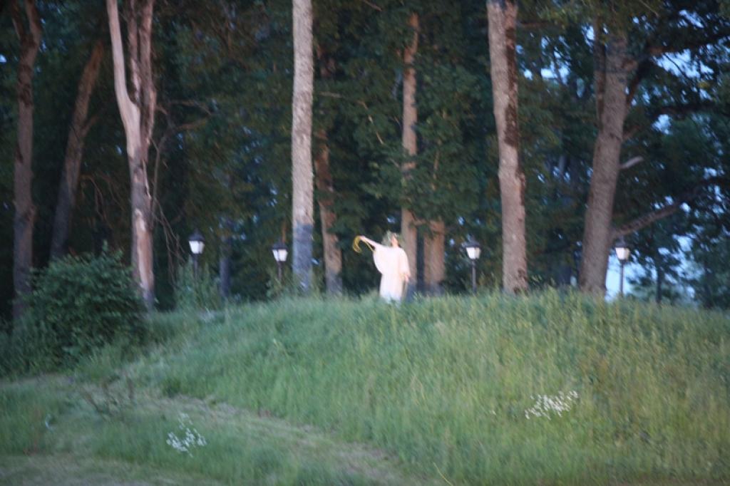 Autors: Gatis Bogdanovs