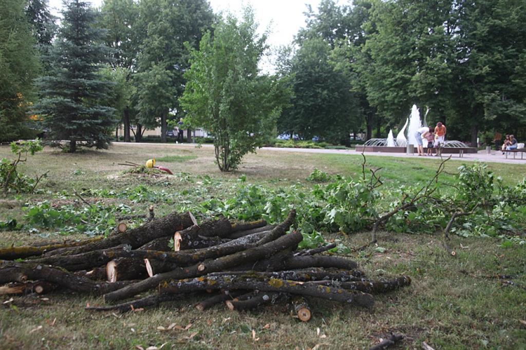 Autors: Gatis Bogdanovs