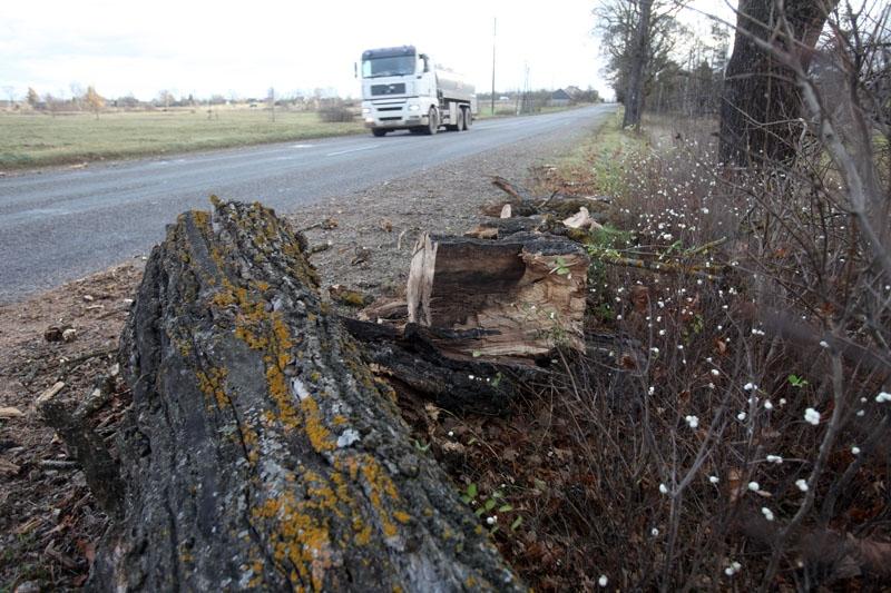 Pulksten 6.48 glābēji saņēma izsaukumu, ka autoceļa Gulbene -Smiltene 2.kilometrā koks uzkritis uz ceļa braucamās daļas.
Autors: Gatis Bogdanovs