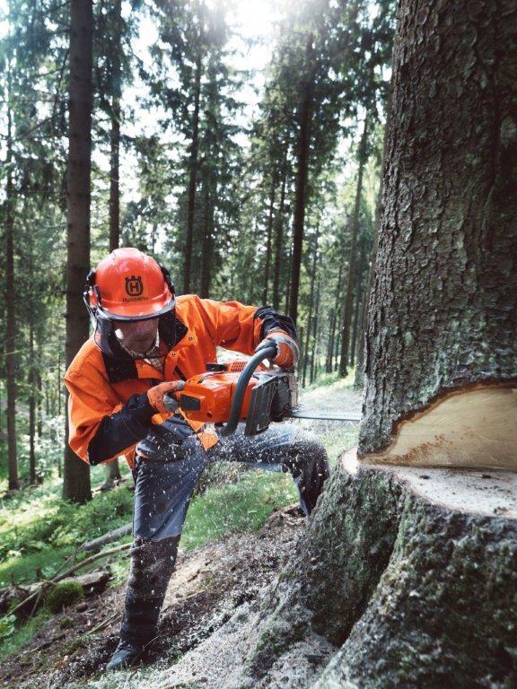 Dzirkstele.lv raksta attēla aizvietotājs