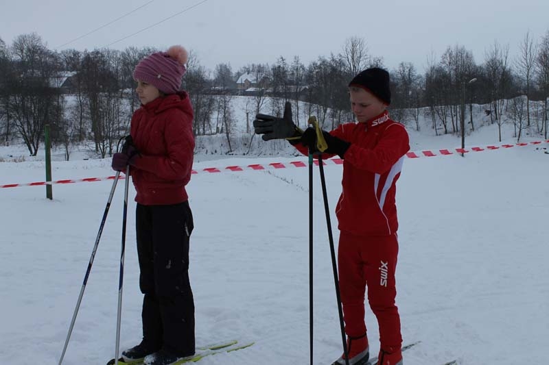 Autors: No arhīva