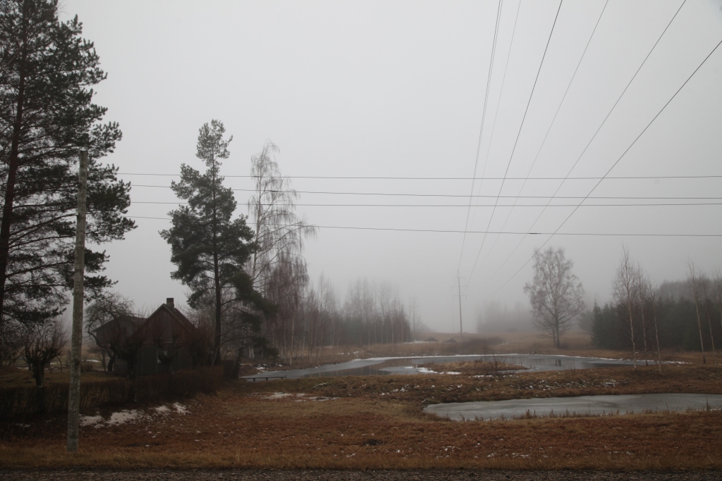 Autors: no arhīva