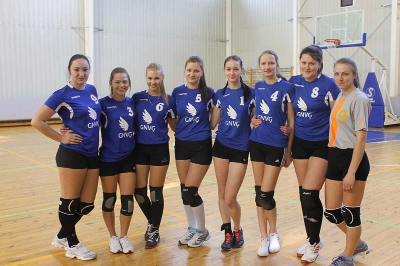 Dzirkstele.lv raksta attēla aizvietotājs