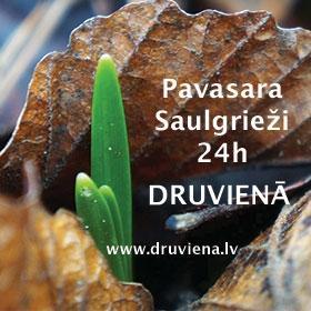 Dzirkstele.lv raksta attēla aizvietotājs