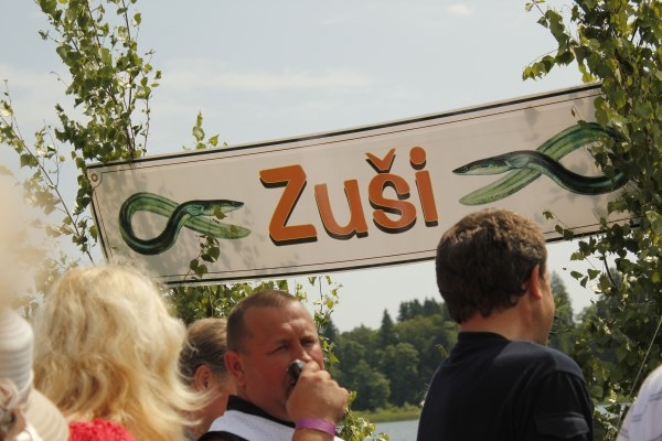 Dzirkstele.lv raksta attēla aizvietotājs