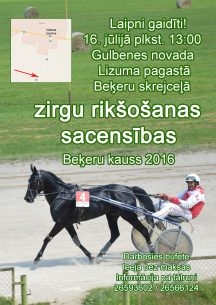 Dzirkstele.lv raksta attēla aizvietotājs