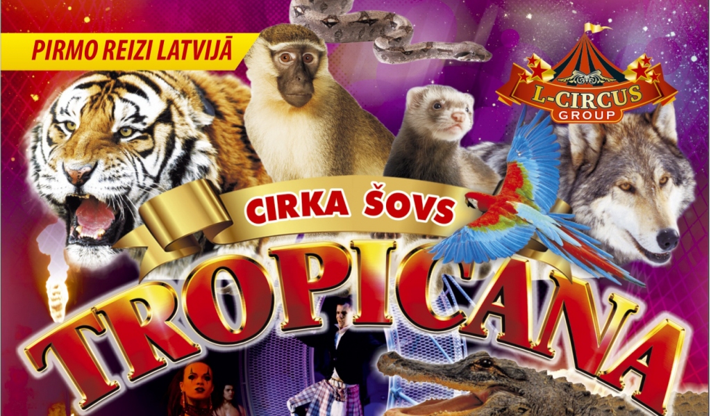 Dzirkstele.lv raksta attēla aizvietotājs