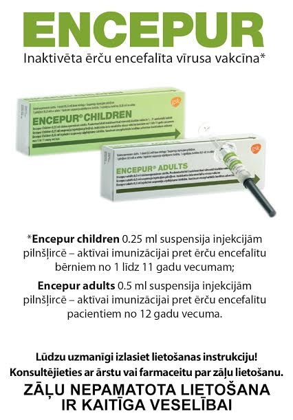 Dzirkstele.lv raksta attēla aizvietotājs