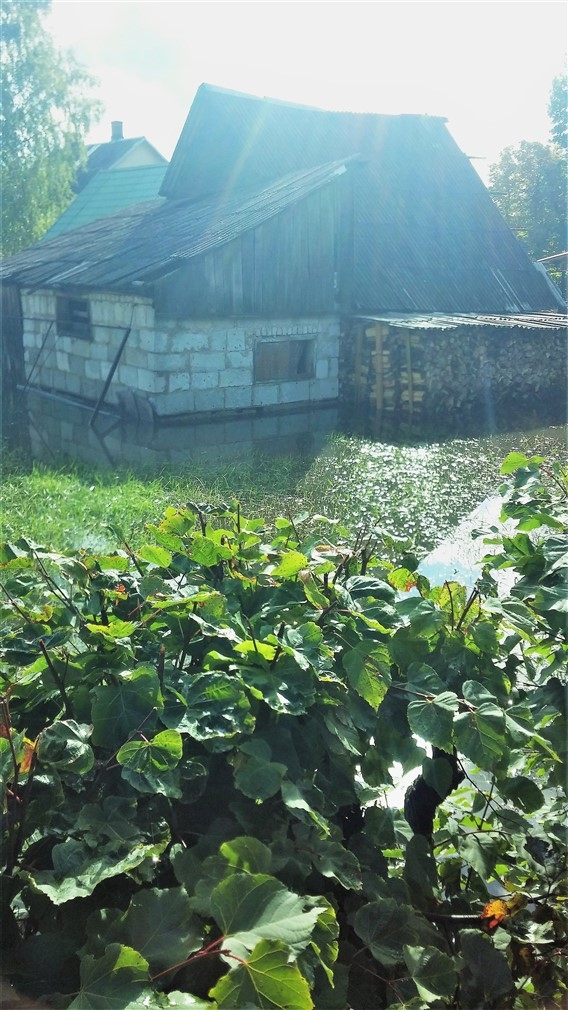 Ābeļu iela.