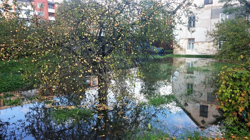 Ābeļu iela.