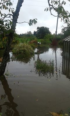 Ceļu daļas dāŗzā.
Autors: Anna Ignatāne (facebook.com)