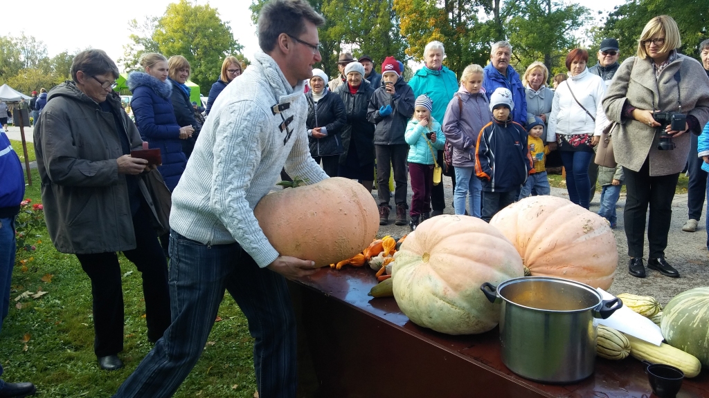 Dzirkstele.lv raksta attēla aizvietotājs
