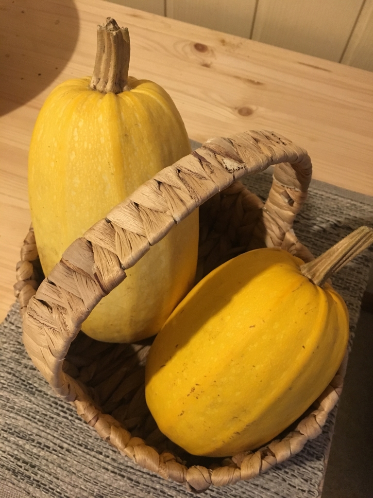 Četrām porcijām nepieciešams:
◆ 1 ķirbis,
◆ ~400 grami maltās gaļas,
◆ tomātu pasta,
◆ sīpols,
◆ burkāns,
◆ siers,
◆ garšvielas pēc izvēles
Autors: Laura Pāvila