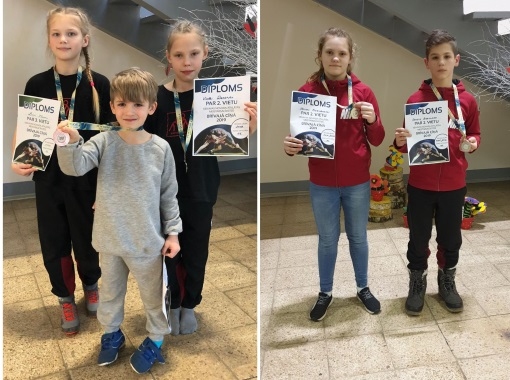 Dzirkstele.lv raksta attēla aizvietotājs