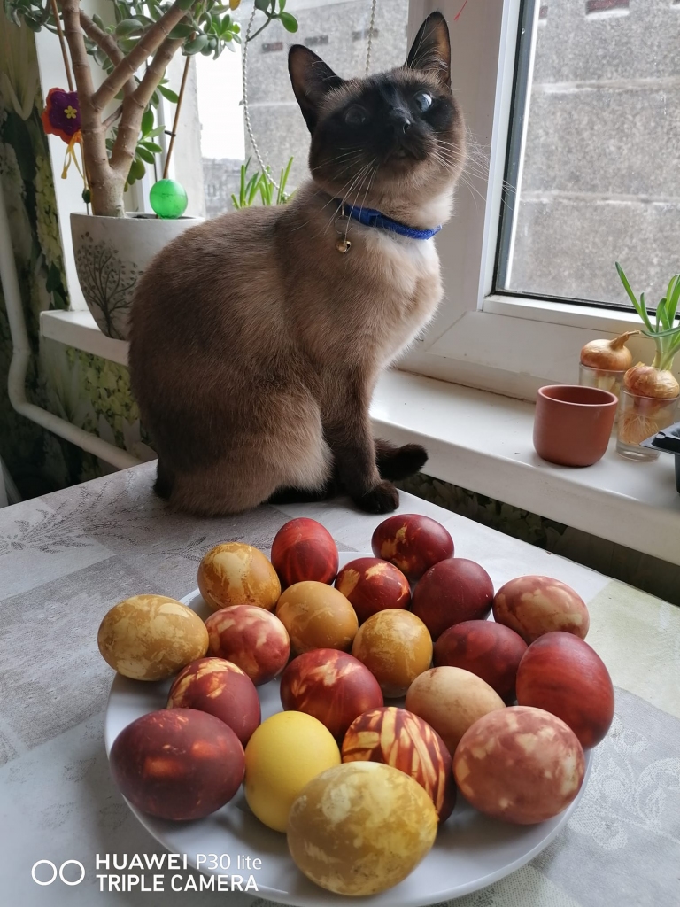 Autors: Iveta Pušmucāne