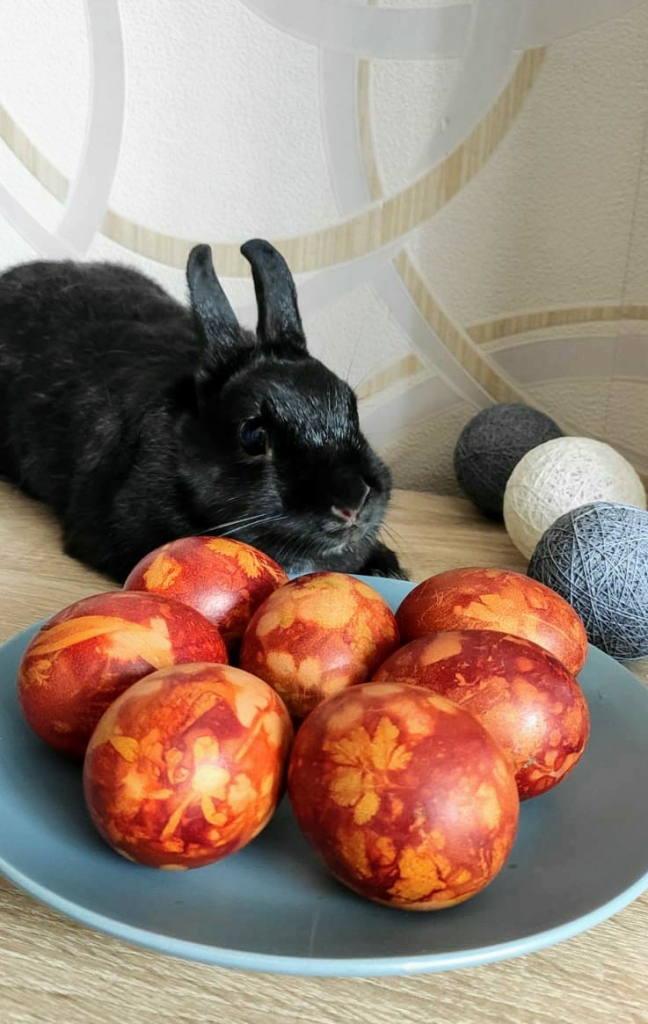 Autors: Liene Bundziņa
