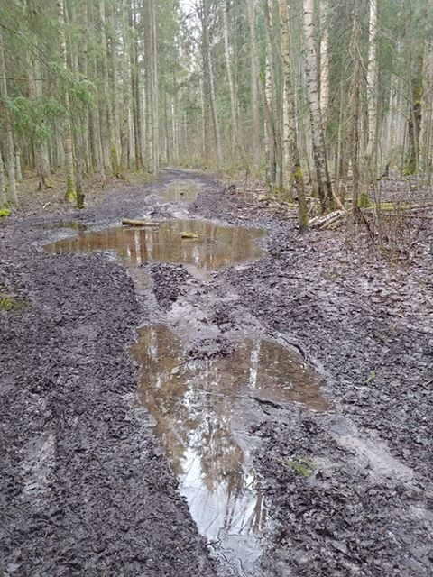 Autors: Peters Petruks