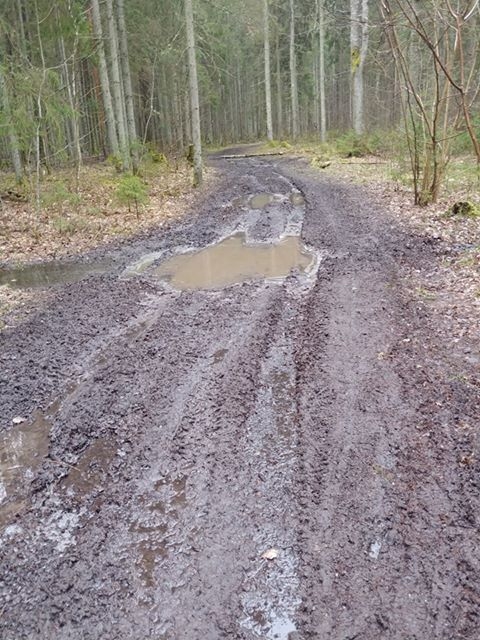 Autors: Peters Petruks