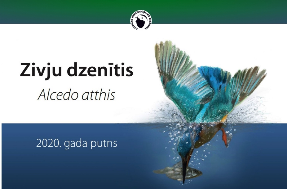 Dzirkstele.lv raksta attēla aizvietotājs