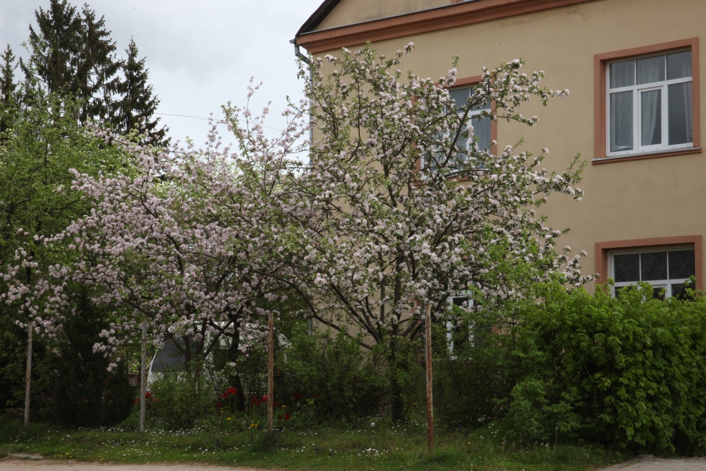 Autors: Gatis Bogdanovs