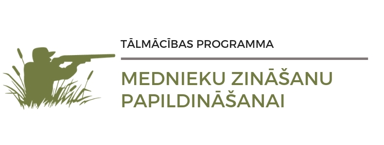 Dzirkstele.lv raksta attēla aizvietotājs