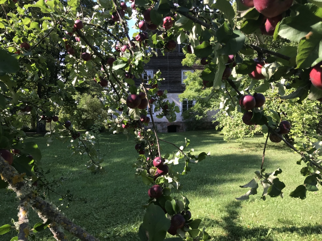 Autors: no privātā arhīva
