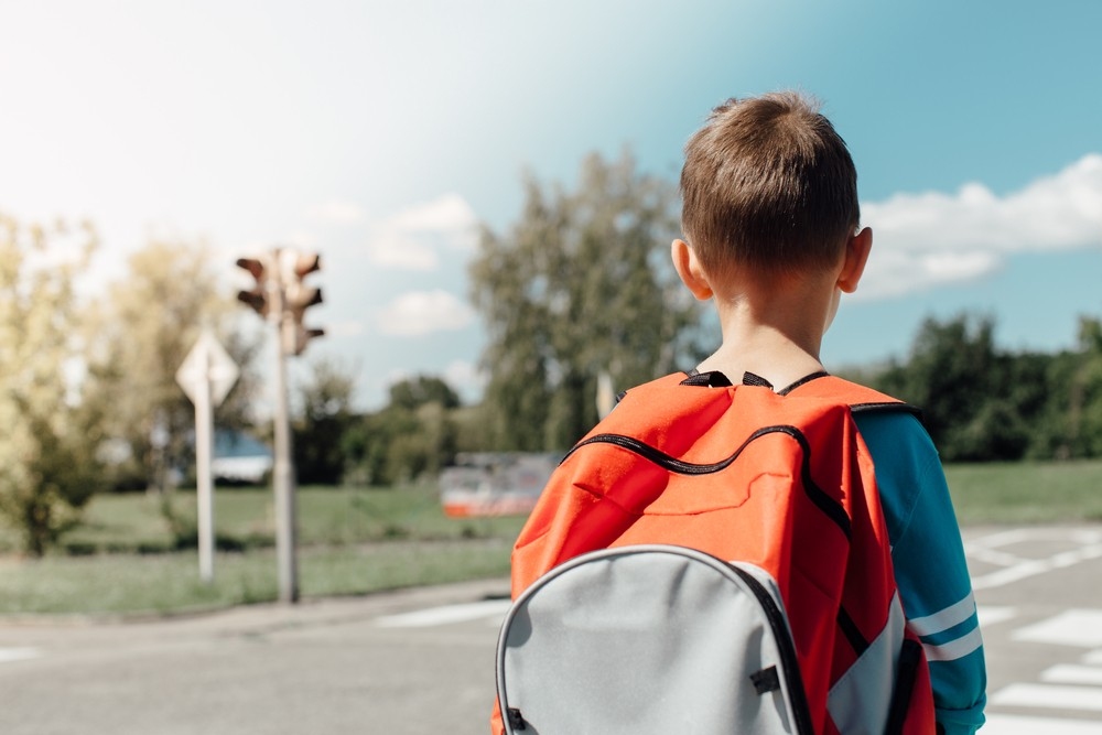 Dzirkstele.lv raksta attēla aizvietotājs